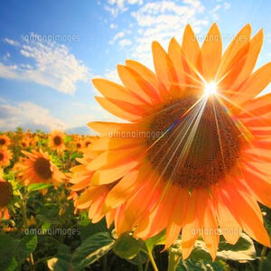 EF2F4D4C-C9DB-4982-80E4-92B851AE1DA3