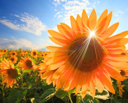 EF2F4D4C-C9DB-4982-80E4-92B851AE1DA3