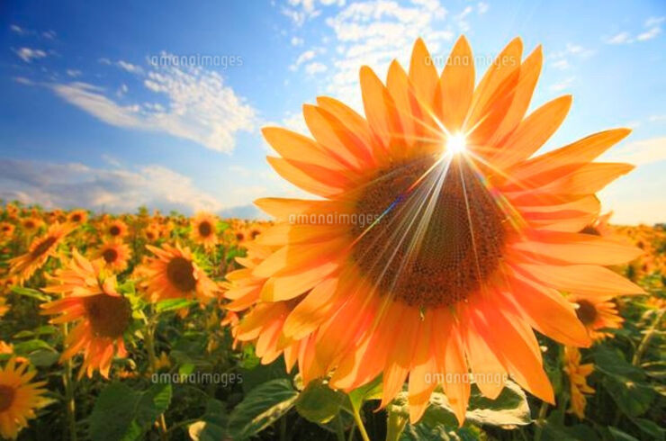 EF2F4D4C-C9DB-4982-80E4-92B851AE1DA3